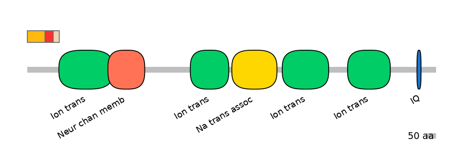 HsaEX6016396-INC
