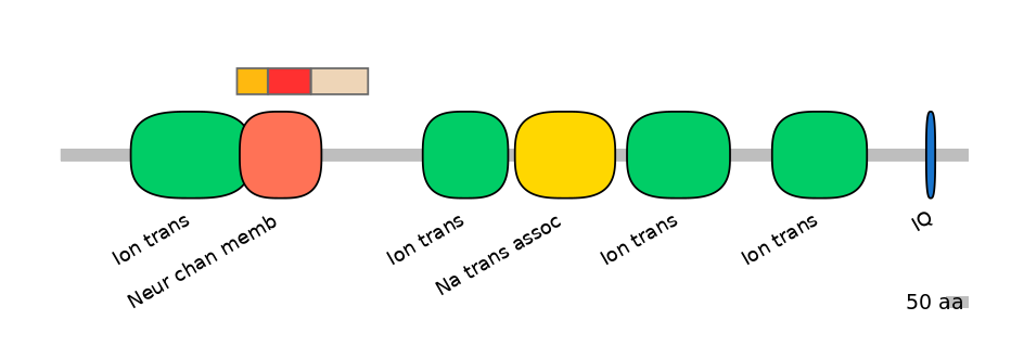 HsaEX6016402-INC