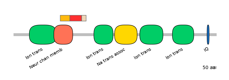 HsaEX6016403-INC