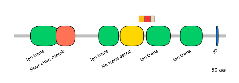 HsaEX6016410-INC