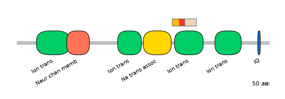 HsaEX6016411-INC