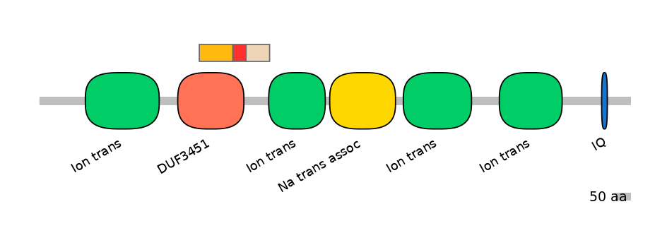 HsaEX6016417-INC
