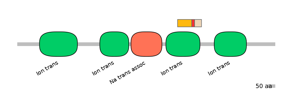 HsaEX6016442-INC