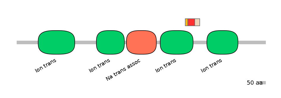 HsaEX6016443-INC