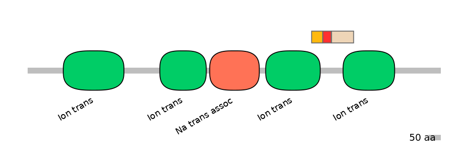 HsaEX6016444-INC