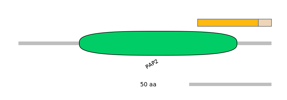 HsaEX6016488-EXC