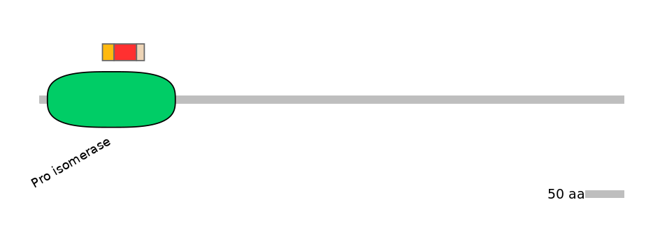 HsaEX6016599-INC