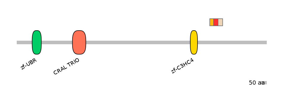 HsaEX6016616-INC