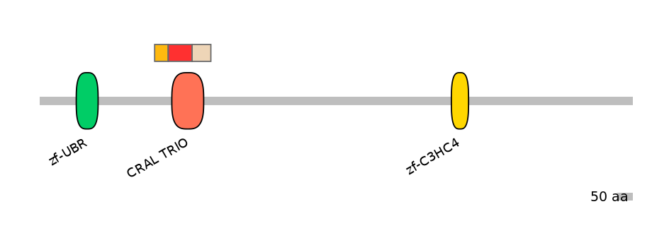 HsaEX6016637-INC