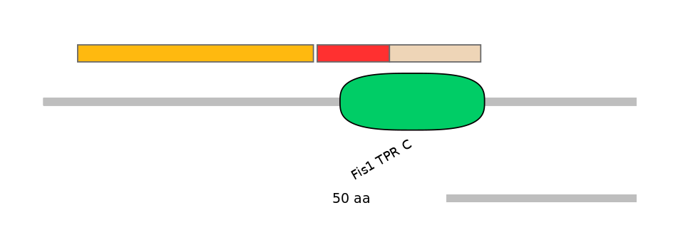 HsaEX6016672-INC
