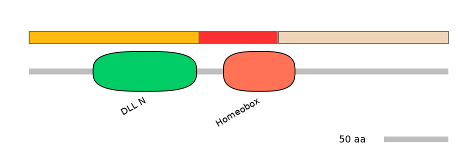HsaEX6016726-INC