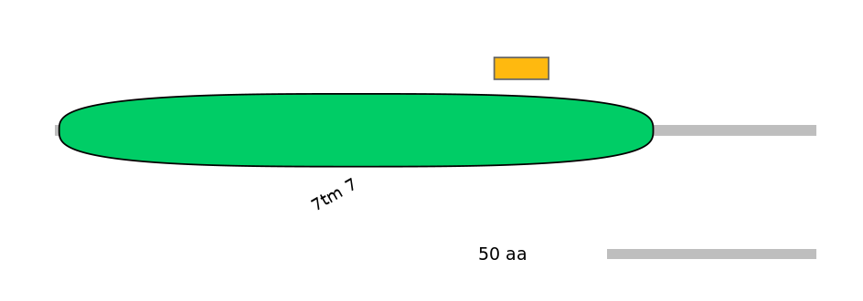 HsaEX6016823-EXC