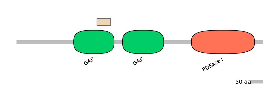 HsaEX6016845-EXC