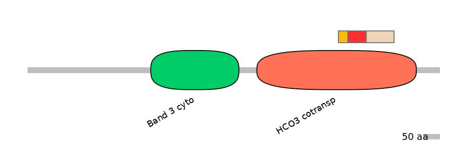 HsaEX6018774-INC