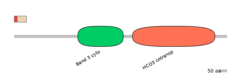 HsaEX6018785-INC