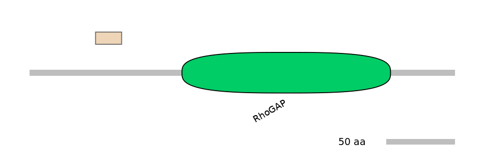 HsaEX6019762-EXC