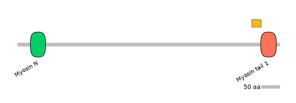 HsaEX6021065-EXC