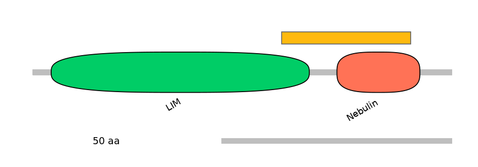 HsaEX6022305-EXC