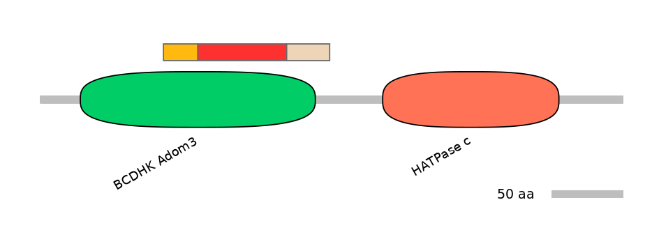 HsaEX6023471-INC