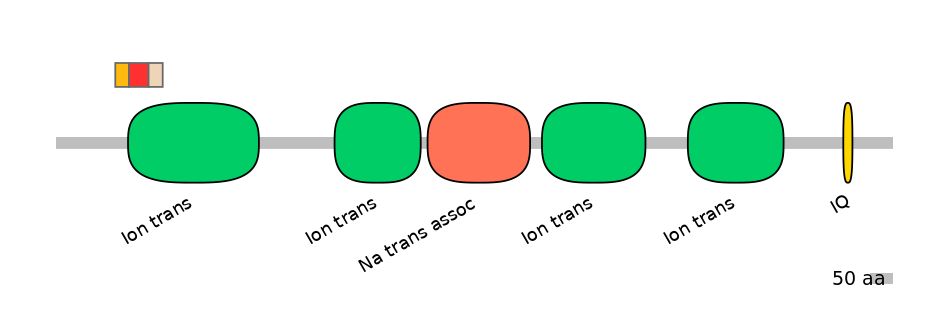 HsaEX6024179-INC