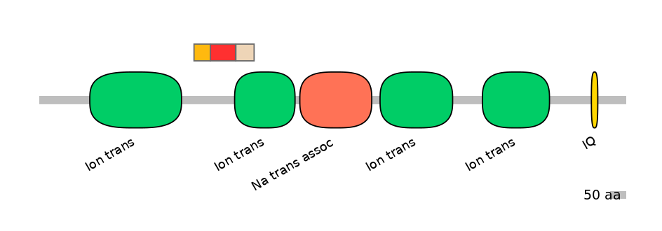 HsaEX6024186-INC