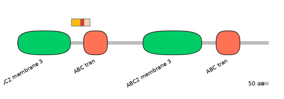 HsaEX6024472-INC
