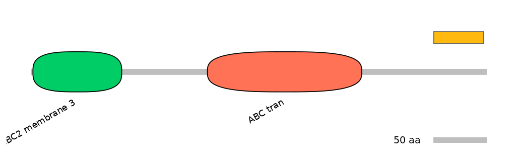 HsaEX6024498-EXC
