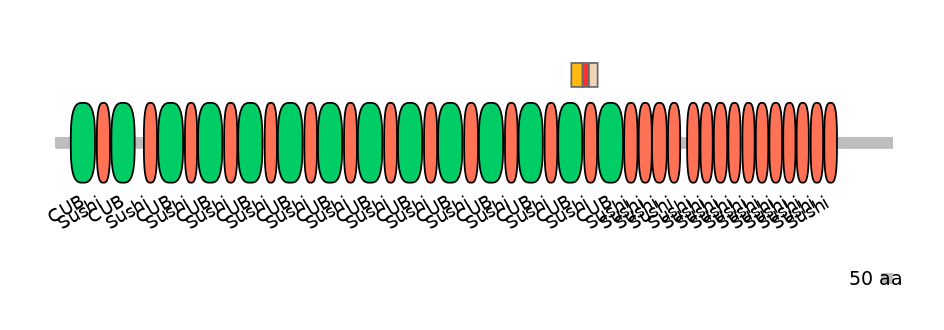 HsaEX6029875-INC