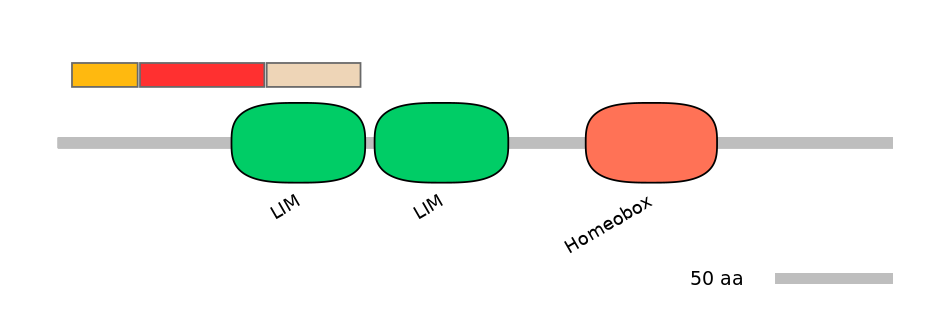 HsaEX6031631-INC