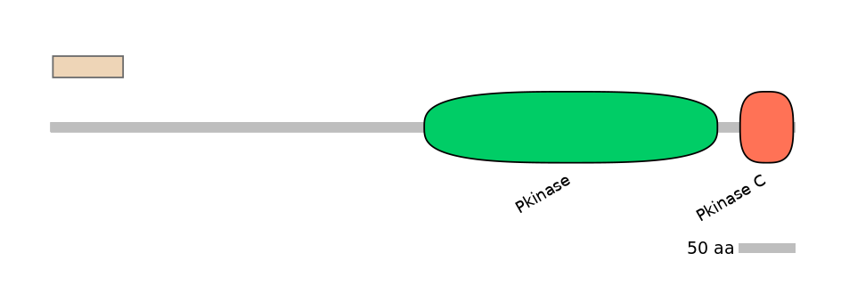 HsaEX6031990-EXC