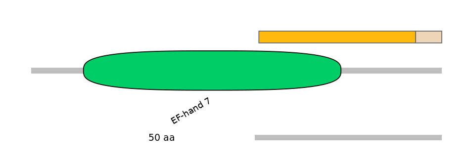 HsaEX6032493-EXC