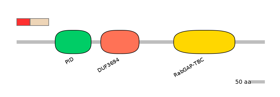 HsaEX6035020-INC