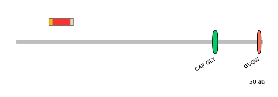 HsaEX6035235-INC