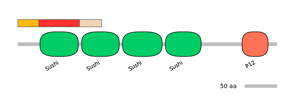 HsaEX6036488-INC