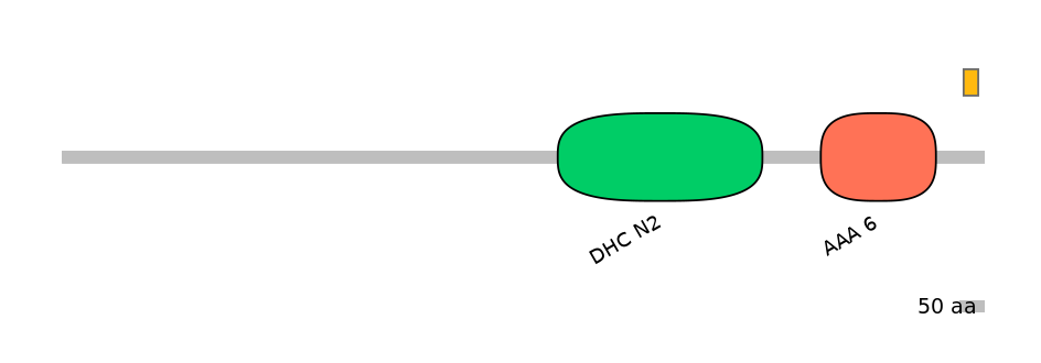 HsaEX6037020-EXC
