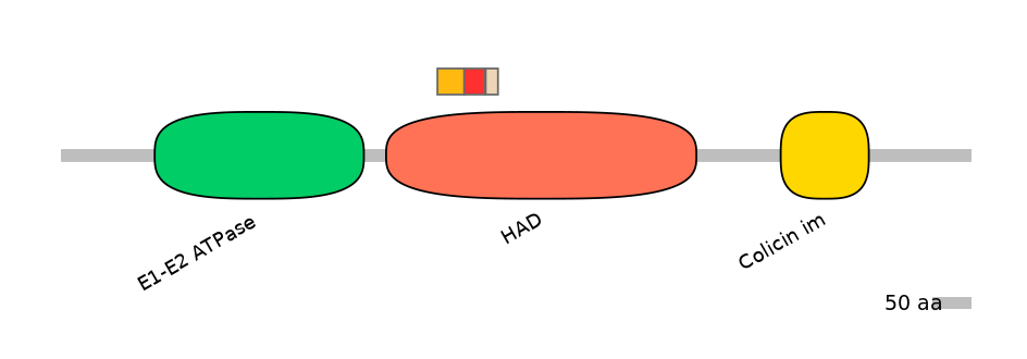 HsaEX6039652-INC