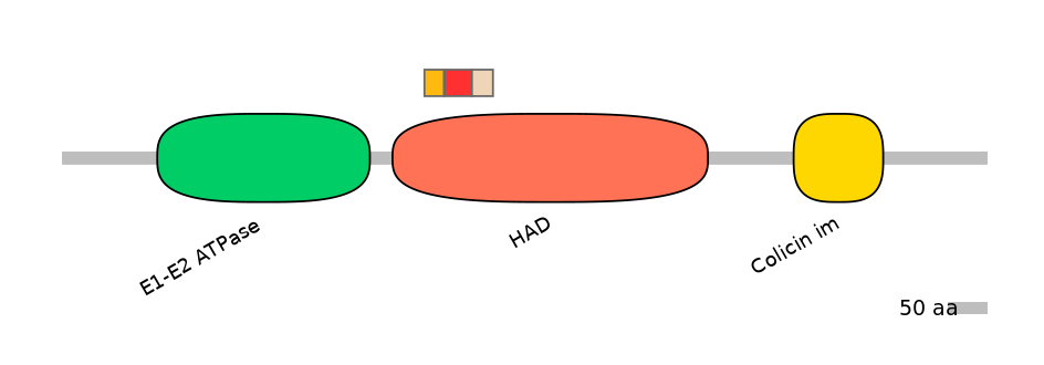 HsaEX6039653-INC