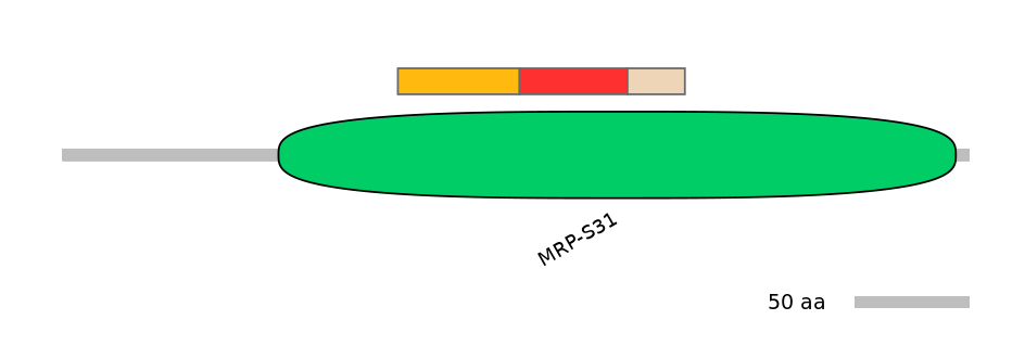 HsaEX6040072-INC