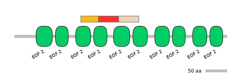HsaEX6040970-INC