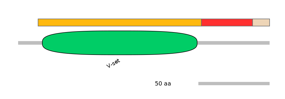 HsaEX6046263-INC