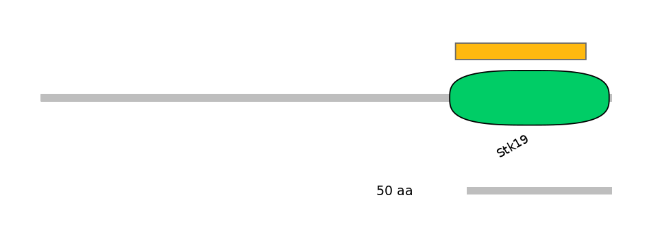 HsaEX6046422-EXC