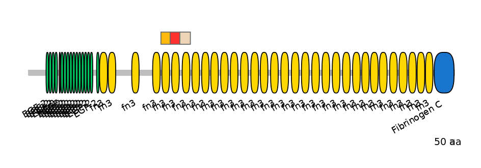 HsaEX6046430-INC