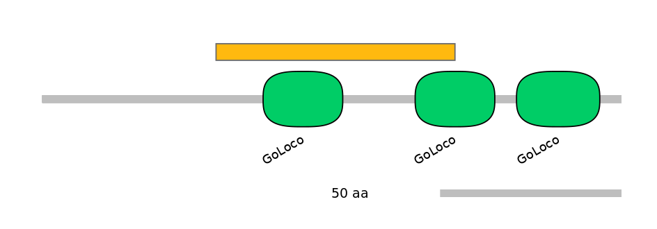 HsaEX6046488-EXC