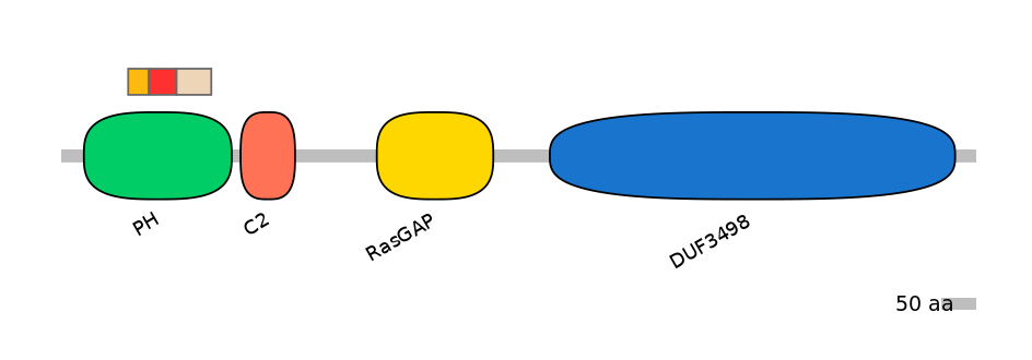 HsaEX6046663-INC