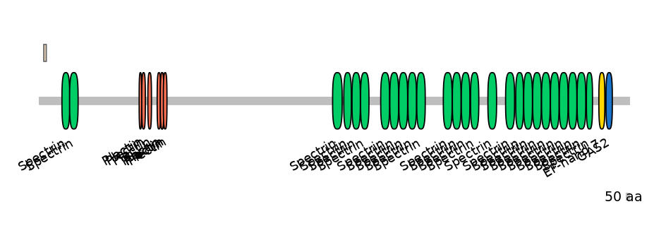 HsaEX6047849-EXC