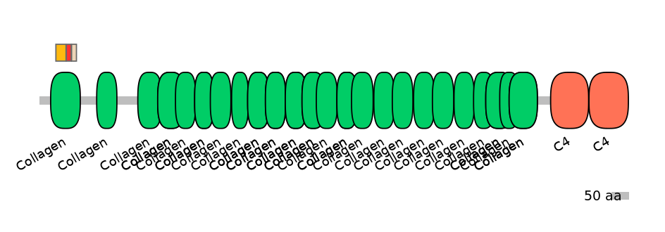 HsaEX6052882-INC