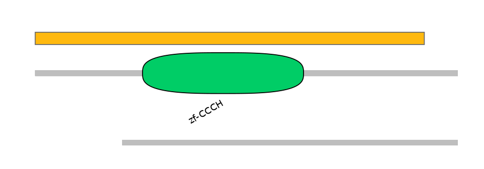 HsaEX6053379-EXC