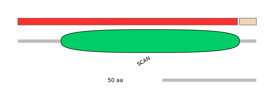 HsaEX6053425-INC