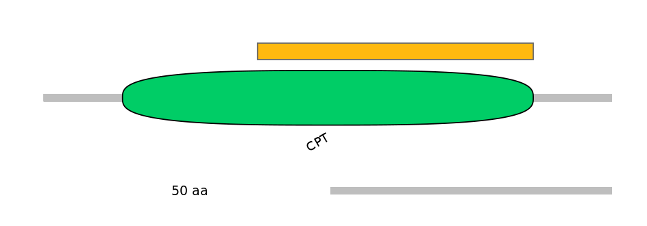 HsaEX6054818-EXC
