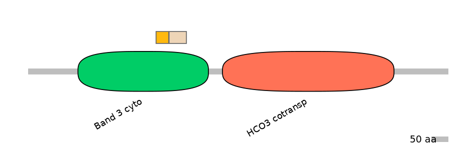 HsaEX6054822-EXC